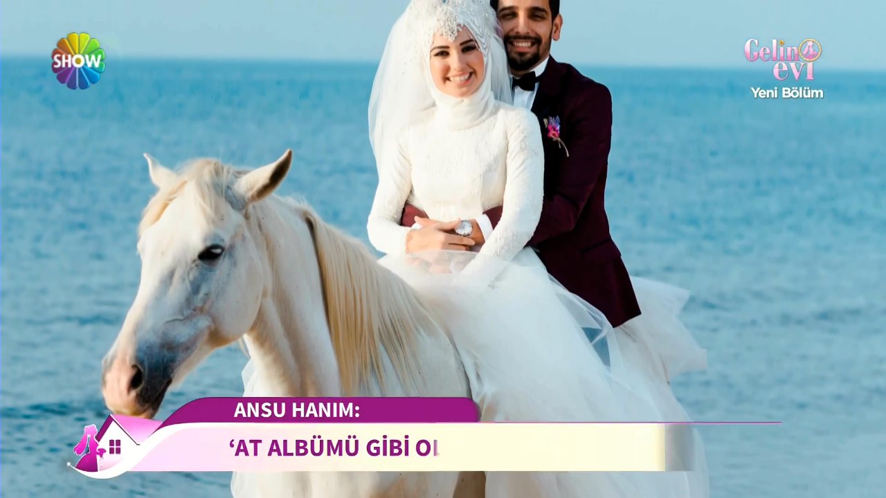 Atın albümü