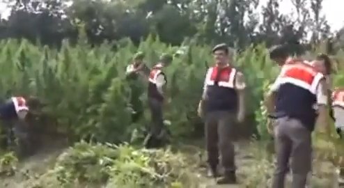 Bunlar bizim komutanım