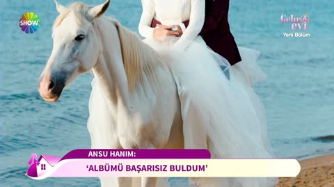 atın albümü